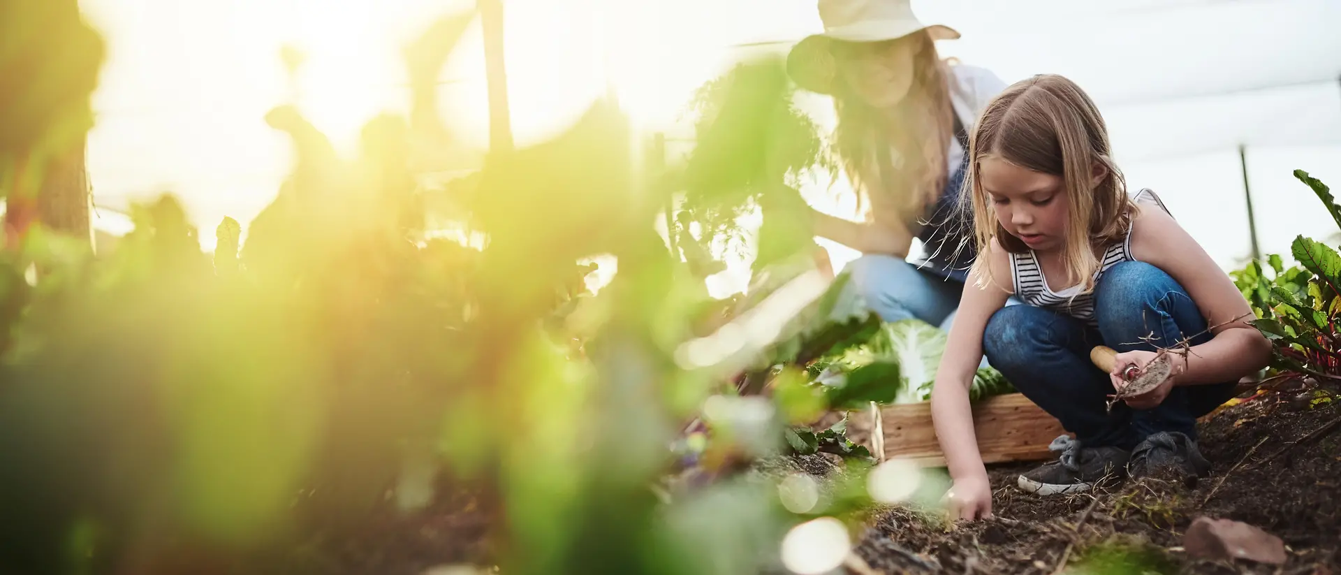 Mother and daughter working in the garden and harvesting vegetables